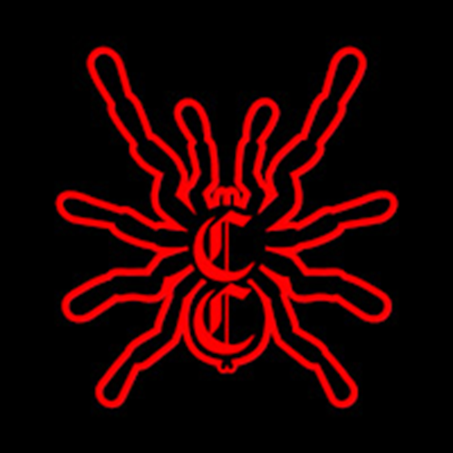 Theraphosa Stirmi | Burgundy Goliath Birdeater Tarantula