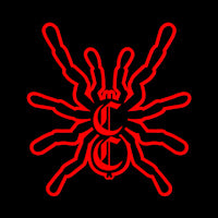 Grammostola anthracina | Brazilian tawny red tarantula